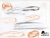 thumbs sketches27 Een kijkje in Lancias keuken