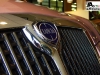 thumbs lancia63 Lancia heeft de toekomst