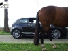 thumbs dc20 AutoEdizione test: Alfa MiTo Duecento