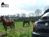 thumbs dc5 AutoEdizione test: Alfa MiTo Duecento