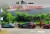 Arese 50x34 Arese