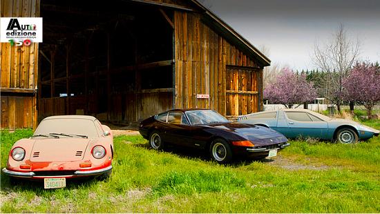 Italian barn find